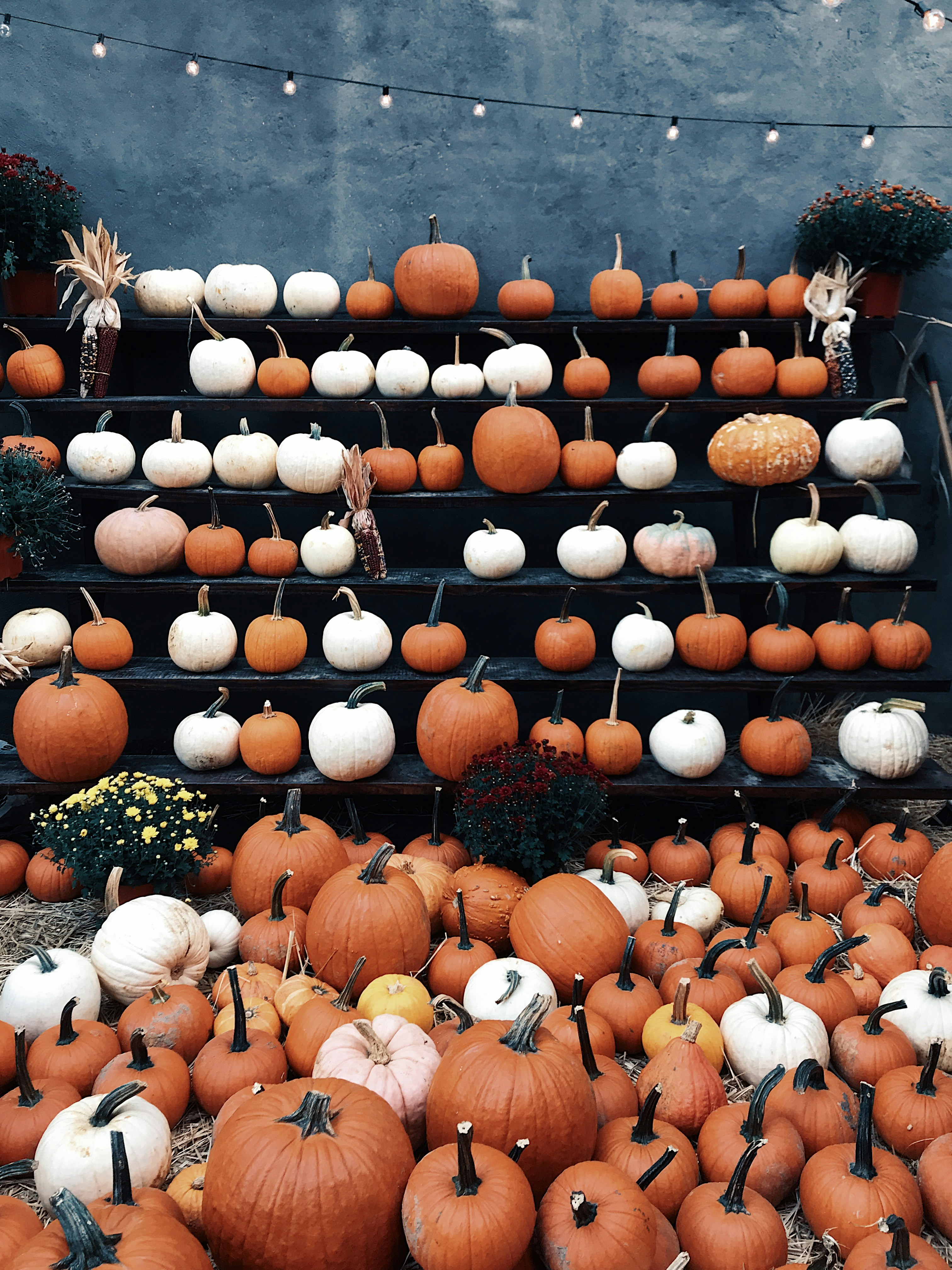 This Halloween season, learn how to turn the tables on attackers with deception technology. Part 1 covers honeypot fundamentals and strategic deplo...